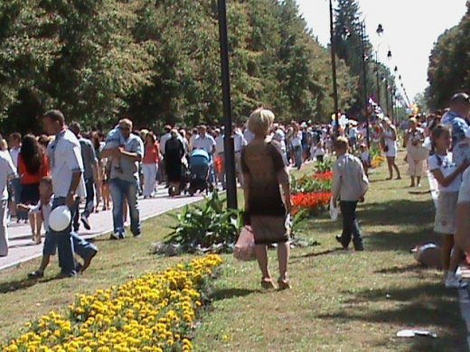 Колгоспна культура по-луцьки!