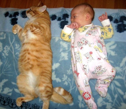 В Голландії живе папаша 82 дітей. Гарні фотки