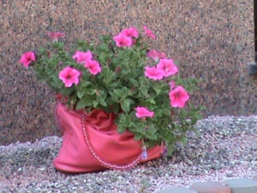 «Євроінтеграційні» промоції сучасного Луцька! 