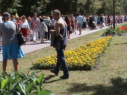 Колгоспна культура по-луцьки!