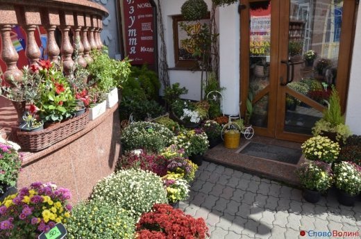 Фото осіннього додощового Луцька