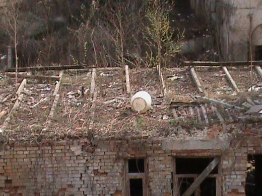 Екзклюзивна екскурсія «Королівством кривих дзеркал» древнього Лучеська!