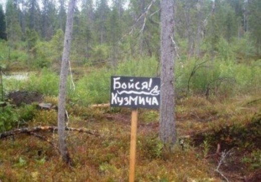 «Умом Россию не понять, Аршином общим не измерить» (с)