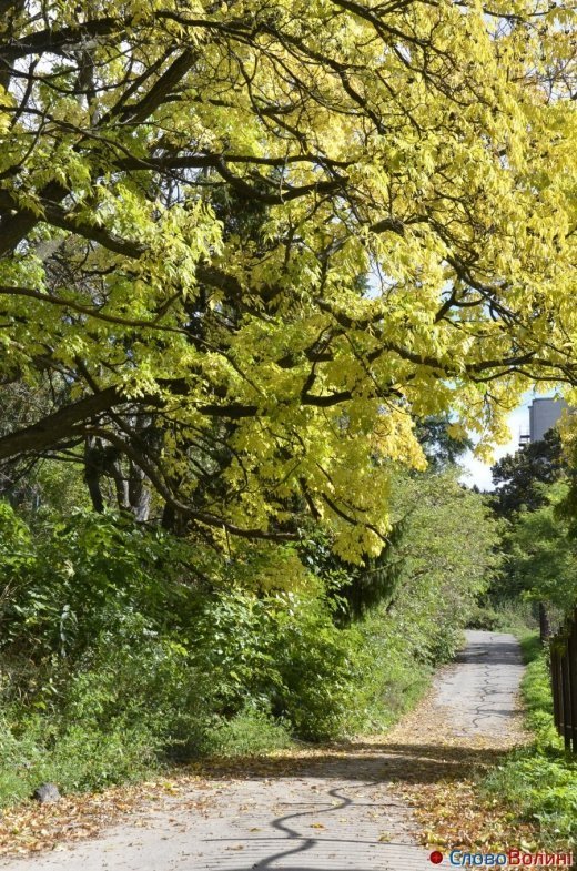 Фото осіннього додощового Луцька