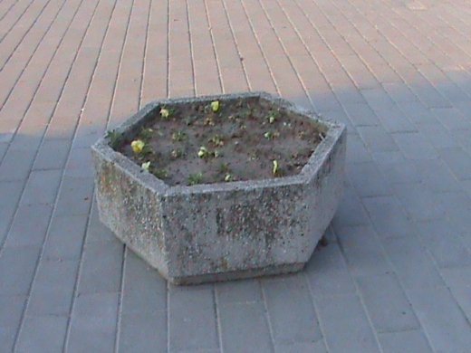 «Євроінтеграційні» промоції сучасного Луцька! 