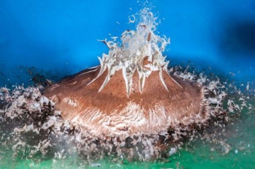 Стоп-кадр: як куля розриває їжу