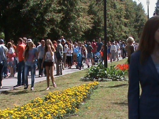 Колгоспна культура по-луцьки!