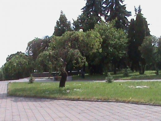 «Євроінтеграційні» промоції сучасного Луцька! 