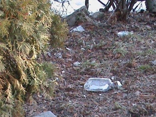 Притон свавілля у скверику,напроти ЛРДА ВО!