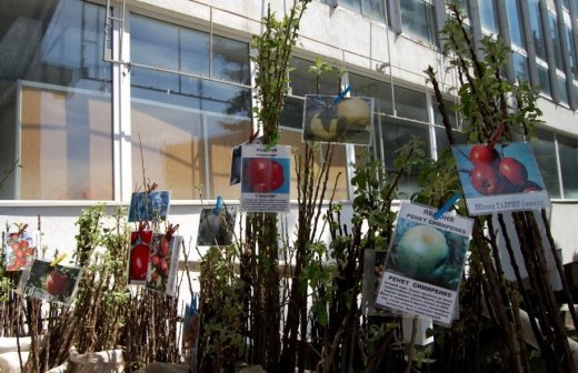 Базар в луцком Промине