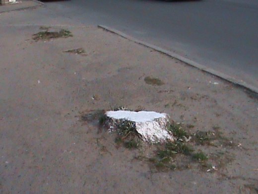 Спецоперація «облагородження міста» по-луцьки!