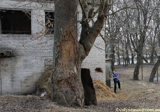 Хто ще скаже "заповідник"?? Або розруха починається з "Рабанівки"