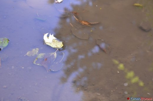 Фото осіннього додощового Луцька