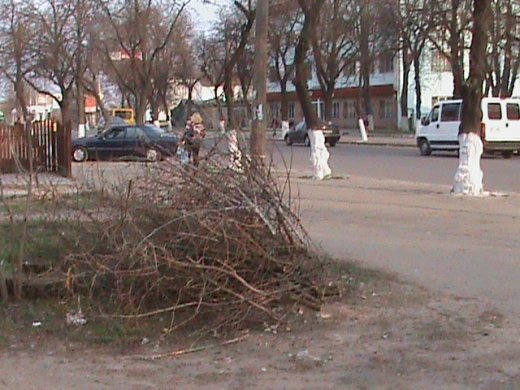 Спецоперація «облагородження міста» по-луцьки!