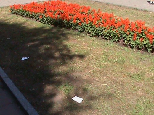 Колгоспна культура по-луцьки!