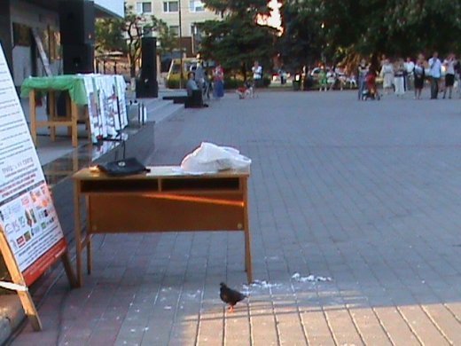 «Контрольний постріл» Євродня у Луцьку!