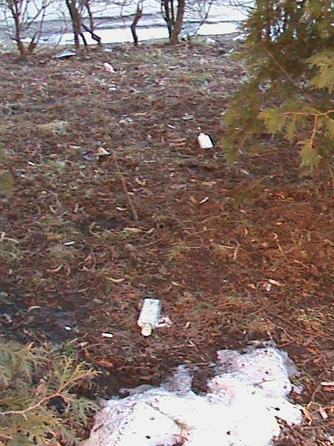 Притон свавілля у скверику,напроти ЛРДА ВО!