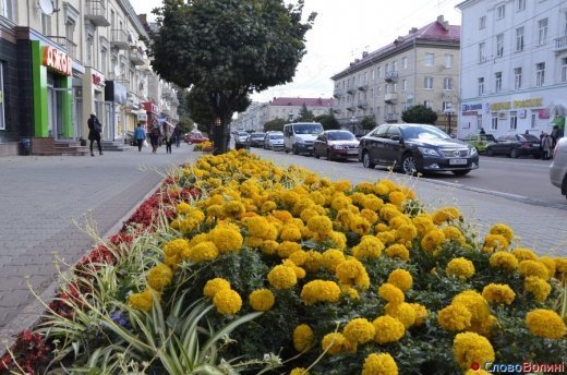 Фото осіннього додощового Луцька