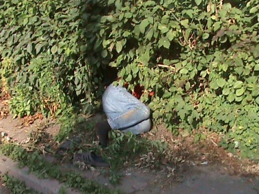 В Луцьку алкогольний мор?