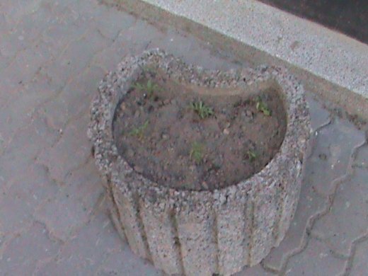 «Євроінтеграційні» промоції сучасного Луцька! 