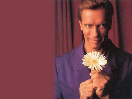 Сьогодні "Залізному Арні" виповнилося 65 років