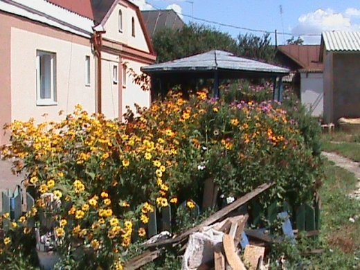 «Хрестовий похід» по «зниклим» дитсадкам міста! Маразм та самоуправство міської влади Луцька!  Частина 2.