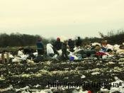 Процвітай,наш рідний край!