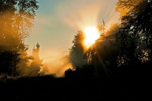 Звичайний ранок у самому чарівному парку.