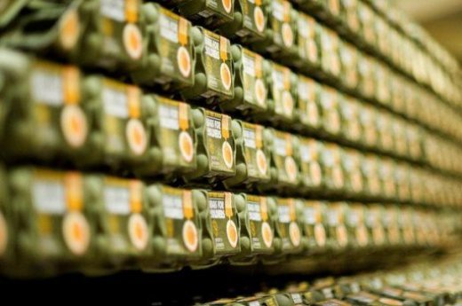 Лондонские безумцы. ФОТО