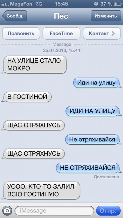 Якби собаки вміли писати СМС