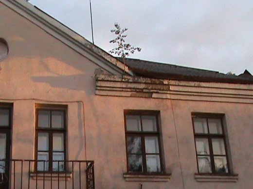 «Євроінтеграційні» промоції сучасного Луцька! 