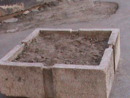 «Євроінтеграційні» промоції сучасного Луцька! 