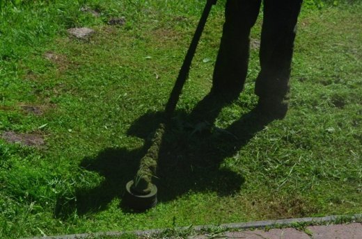 У Луцьку облаштовують квіткові алеї