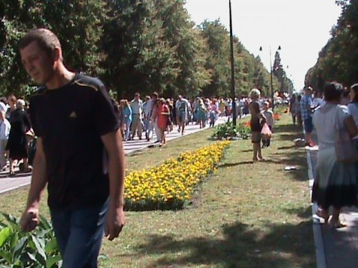 Колгоспна культура по-луцьки!