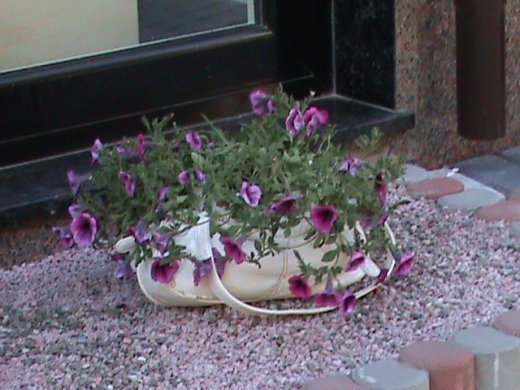 «Євроінтеграційні» промоції сучасного Луцька! 