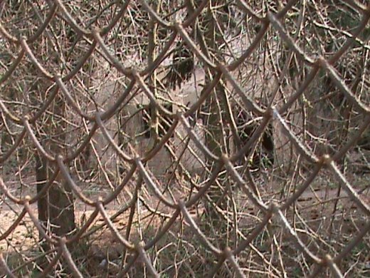 Екзклюзивна екскурсія «Королівством кривих дзеркал» древнього Лучеська!