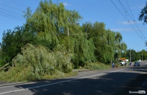 Про липовий благоустрій і порядок міста та про вдавану «любов» мера-гумориста! 