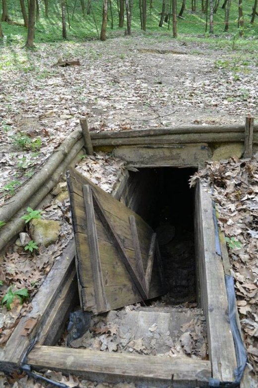 Волинські революціонери вшанували Героїв УПА. ФОТО