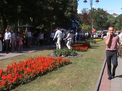 Колгоспна культура по-луцьки!