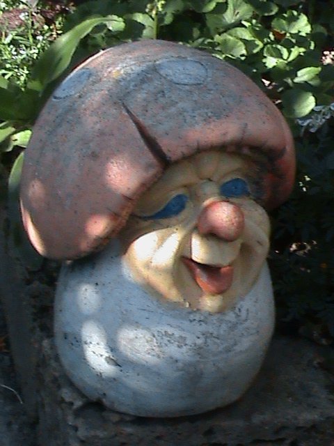 Прем’єра бабиного літа у закуточках мого саду! :)