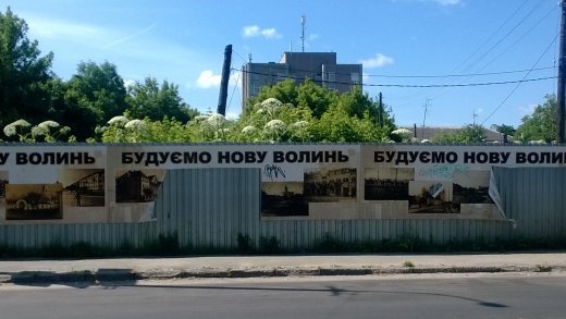 Небезпечна рослина Борщівник квітне в центрі Луцька