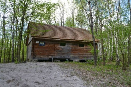 Волинські революціонери вшанували Героїв УПА. ФОТО