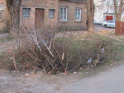 Спецоперація «облагородження міста» по-луцьки!