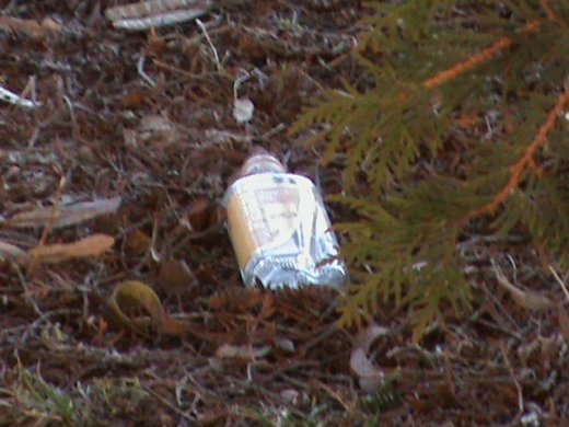 Притон свавілля у скверику,напроти ЛРДА ВО!