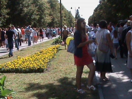 Колгоспна культура по-луцьки!