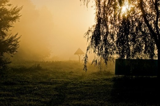Звичайний ранок у самому чарівному парку.