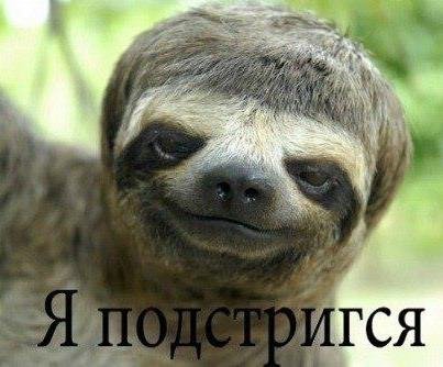 Обережно:епідемія агресії!!!