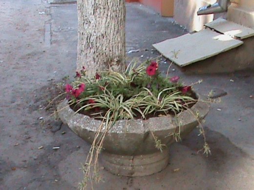 Маразм та самоуправство міської влади Луцька!  Частина 1. «Інвестиції» в майбутнє.