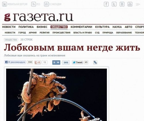 Буйний квіт фантазії,деяких  редакторів ЗМІ!