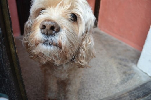 Пропав друг редакції ВолиньPost!!! Допоможіть знайти! ФОТО